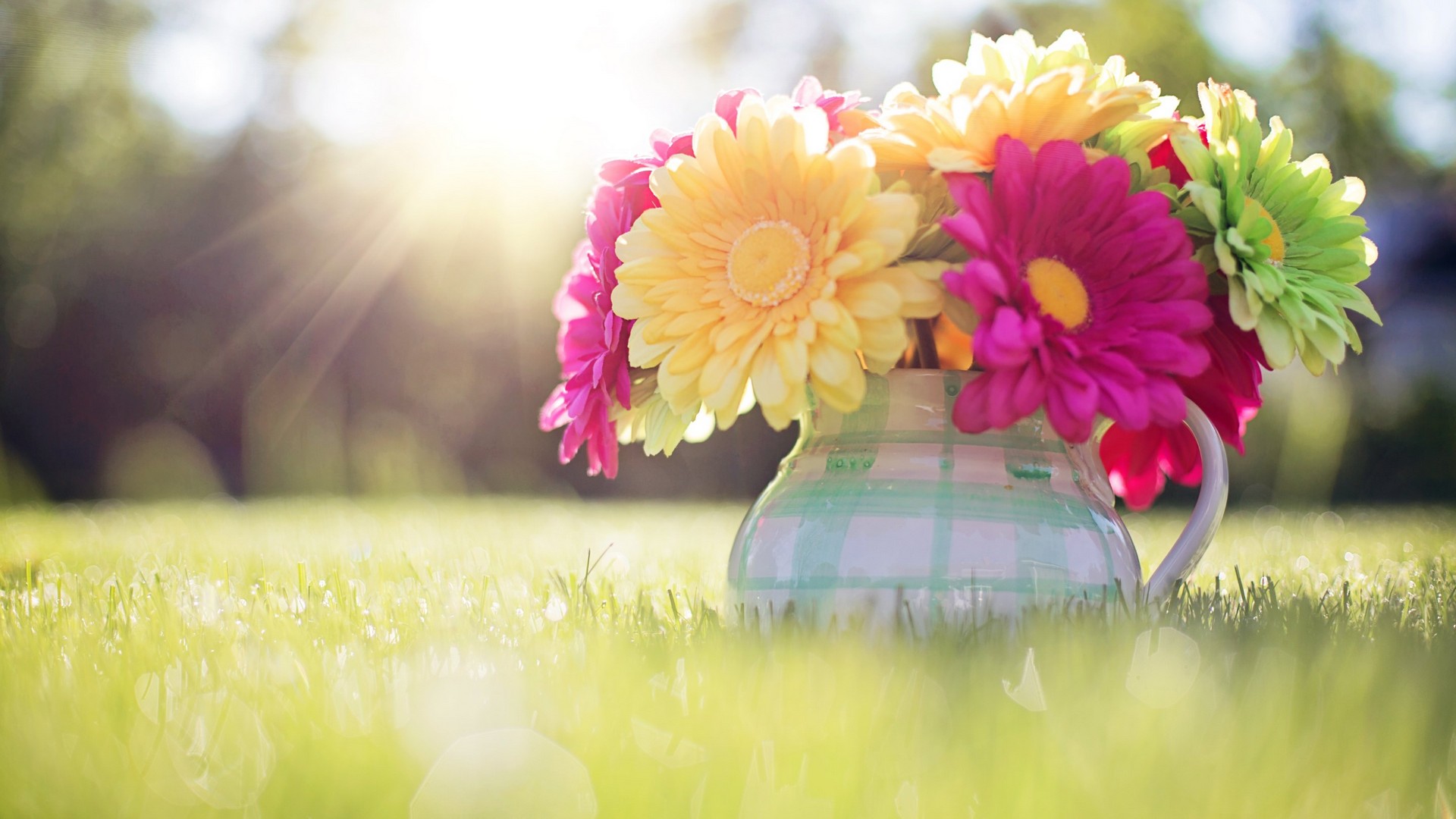 Wallpaper Spring Images | 2021 Cute Wallpapers