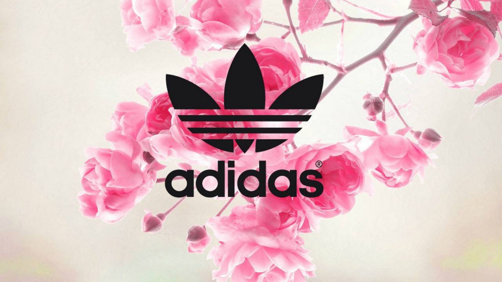 Adidas картинки на рабочий стол