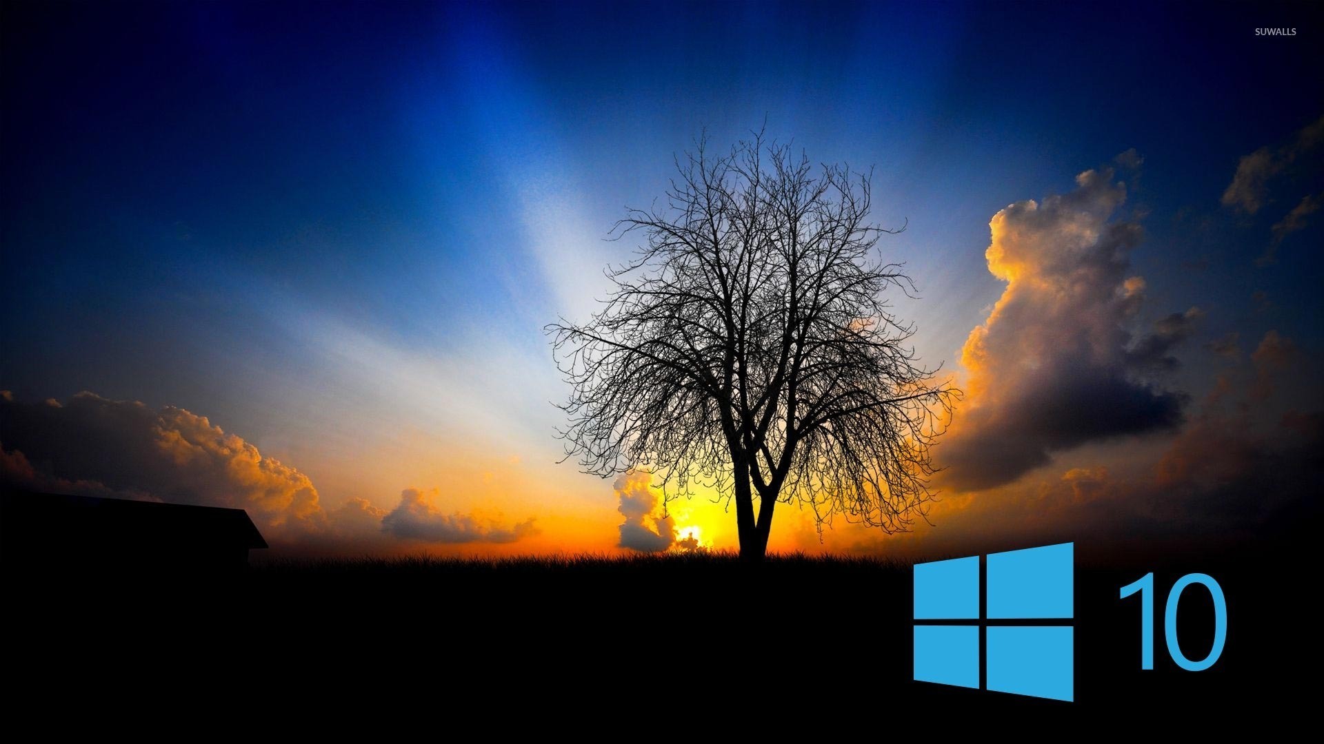 Windows 10 Wallpaper With high-resolution 1920X1080 pixel. You can use this wallpaper for your Windows and Mac OS computers as well as your Android and iPhone smartphones