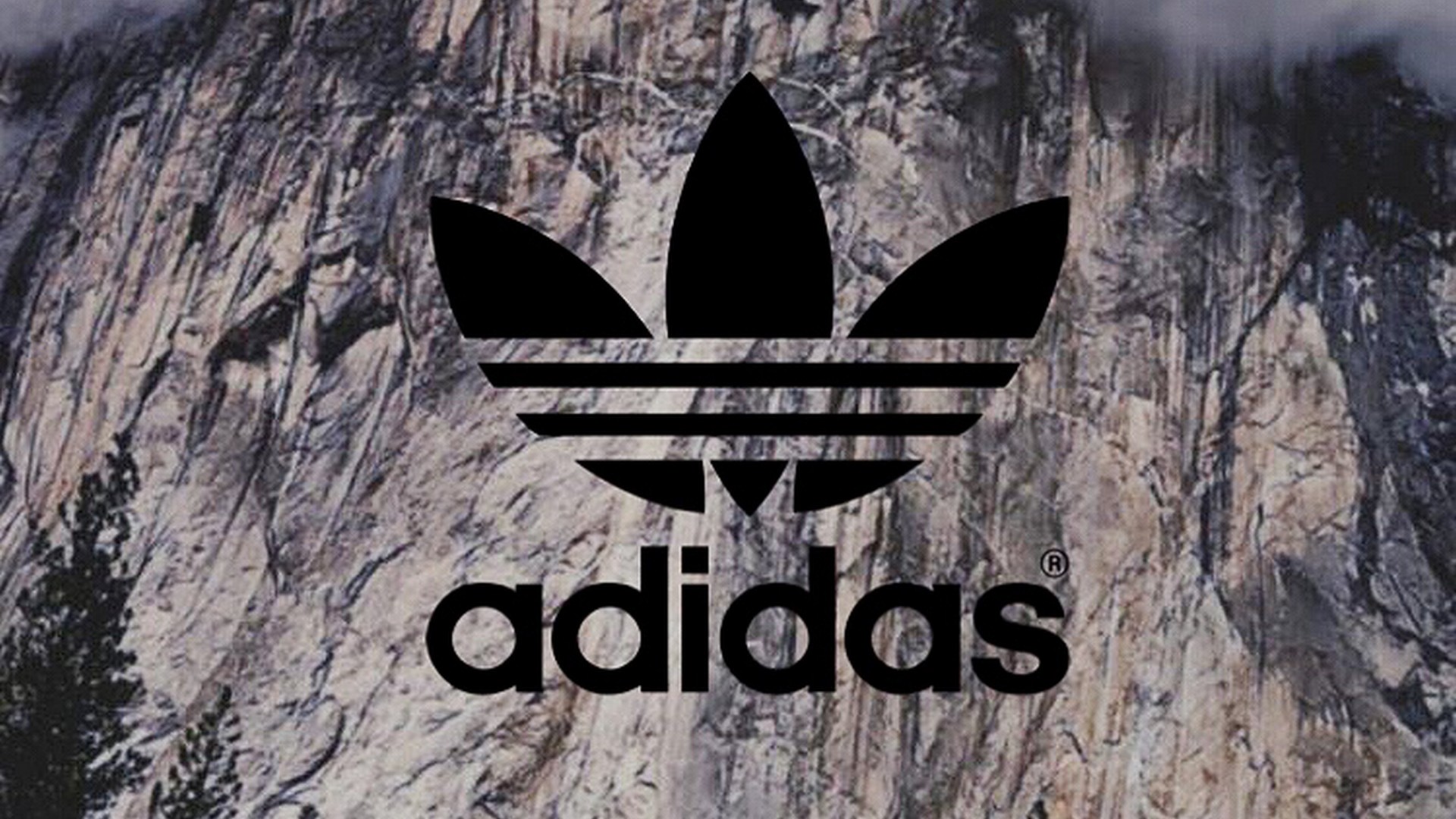 adidas logo wallpaper