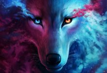 Best Cool Wolf Wallpaper