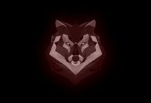 Computer Wallpapers Cool Wolf