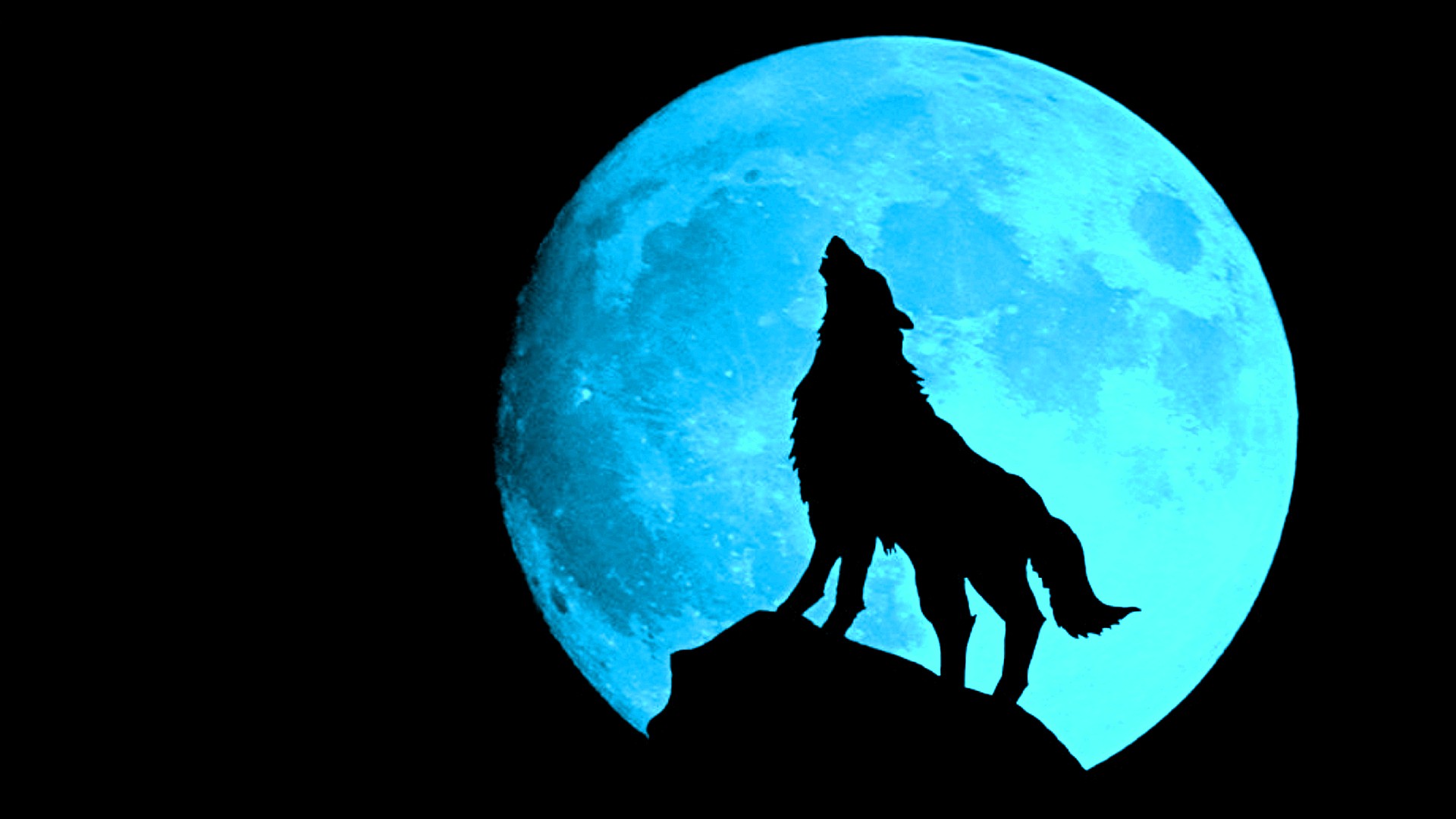 Cool Wolf Desktop Wallpaper with high-resolution 1920x1080 pixel. You can use this wallpaper for your Windows and Mac OS computers as well as your Android and iPhone smartphones