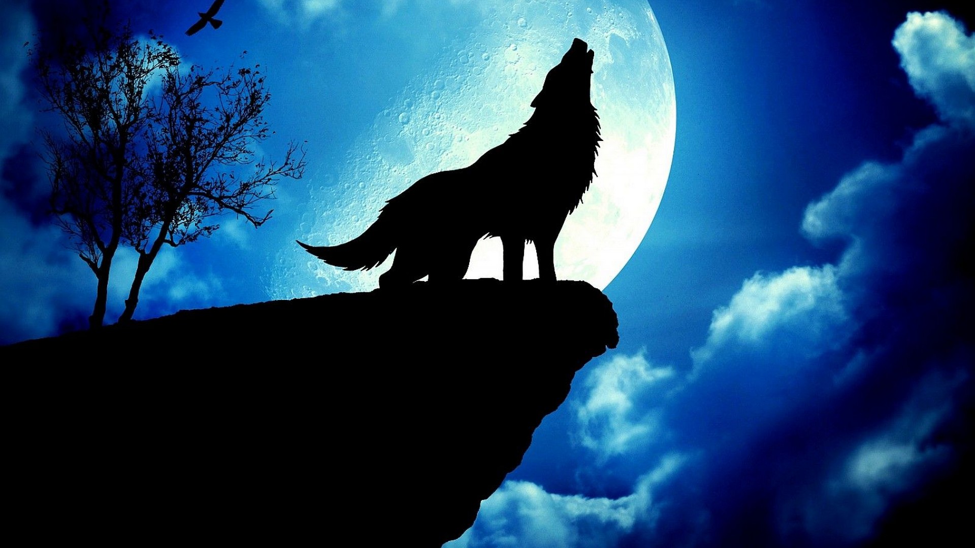 Wolf Cool Background