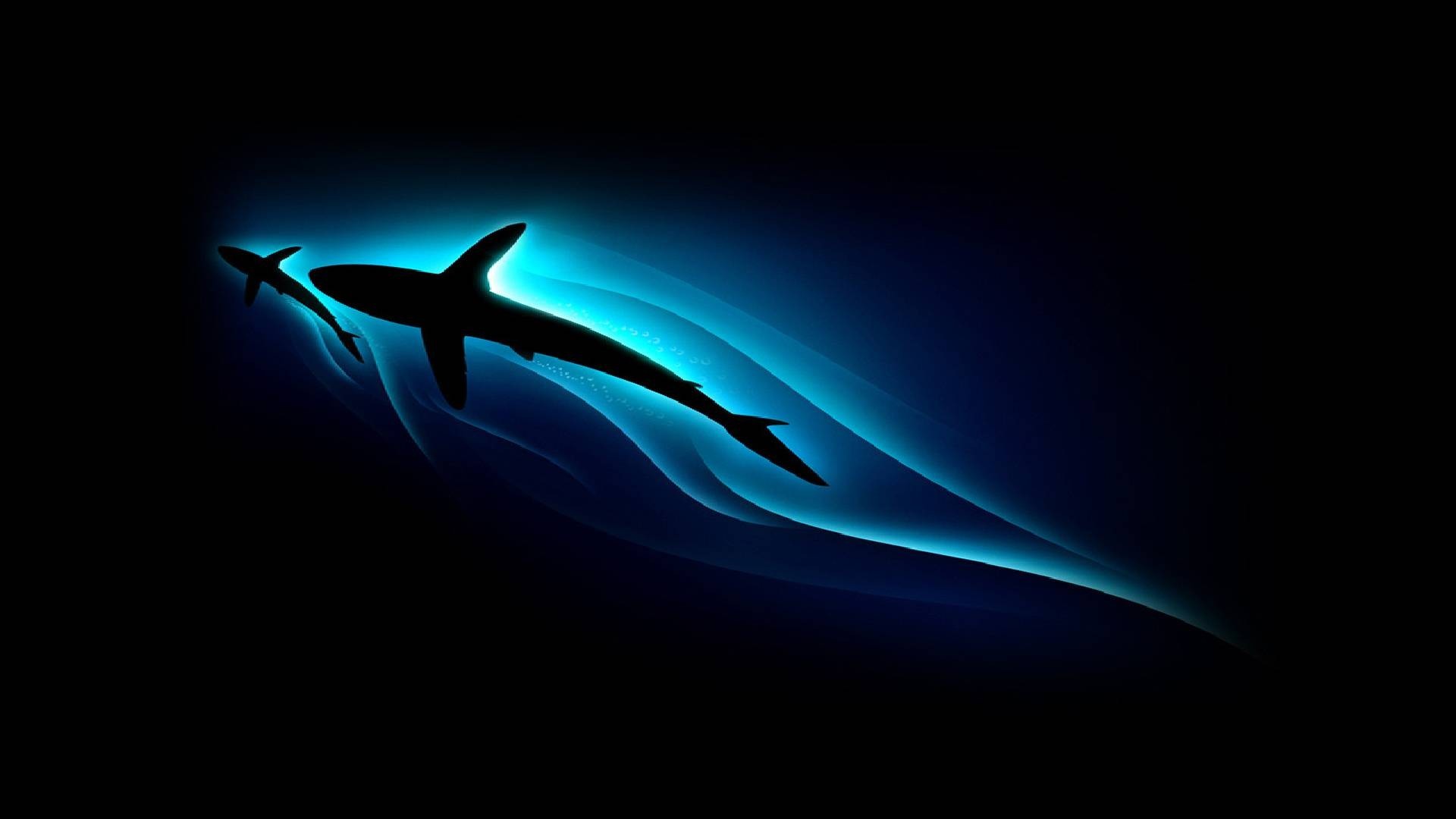 Best Coolest Wallpaper with high-resolution 1920x1080 pixel. You can use this wallpaper for your Windows and Mac OS computers as well as your Android and iPhone smartphones
