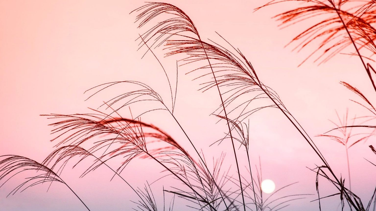 Orange Aesthetic Wallpaper – Cute Wallpapers 2023