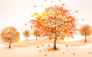 Cute Fall Background Wallpaper HD With high-resolution 1920X1080 pixel. You can use this wallpaper for your Windows and Mac OS computers as well as your Android and iPhone smartphones